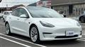 2021 Tesla Motors Others