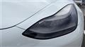 2021 Tesla Motors Others