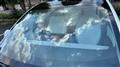 2024 Tesla Motors Others