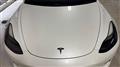 2022 Tesla Motors Others