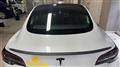 2022 Tesla Motors Others