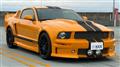 2008 Ford Mustang
