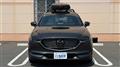 2019 Mazda CX-8