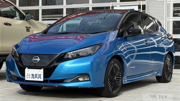 2022 Nissan Leaf