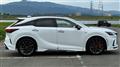 2025 Lexus RX
