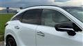 2025 Lexus RX