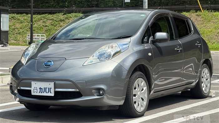 2015 Nissan Leaf