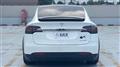 2019 Tesla Motors Others