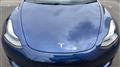 2022 Tesla Motors Others