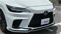 2025 Lexus RX