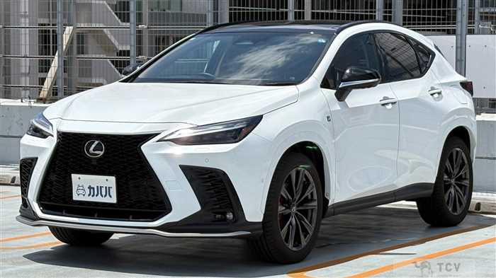 2025 Lexus NX