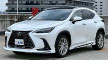 2023 Lexus NX