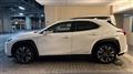 2019 Lexus UX