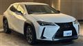2019 Lexus UX