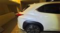 2019 Lexus UX