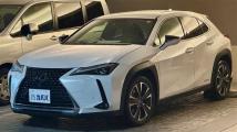 2019 Lexus UX