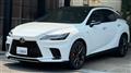 2025 Lexus RX