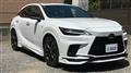 2025 Lexus RX