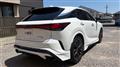 2025 Lexus RX