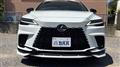2025 Lexus RX
