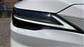 2025 Lexus RX