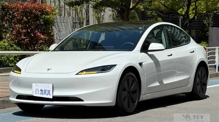 2024 Tesla Motors Others