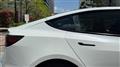 2024 Tesla Motors Others