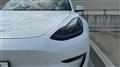 2022 Tesla Motors Others