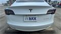 2022 Tesla Motors Others