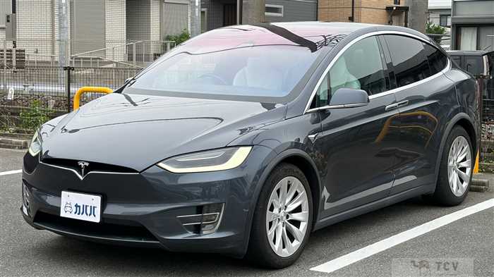 2017 Tesla Motors Others