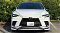 2025 Lexus RX
