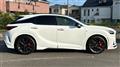 2025 Lexus RX