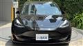 2021 Tesla Motors Others