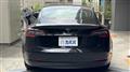 2021 Tesla Motors Others