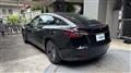 2021 Tesla Motors Others