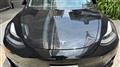 2021 Tesla Motors Others