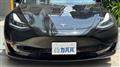 2021 Tesla Motors Others