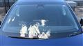 2022 Tesla Motors Others