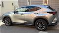 2022 Lexus NX