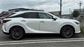 2025 Lexus RX