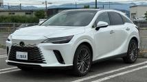2025 Lexus RX