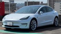 2019 Tesla Motors Others