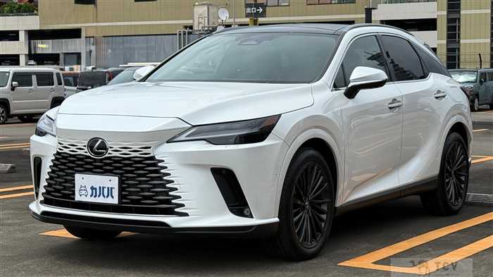 2023 Lexus RX