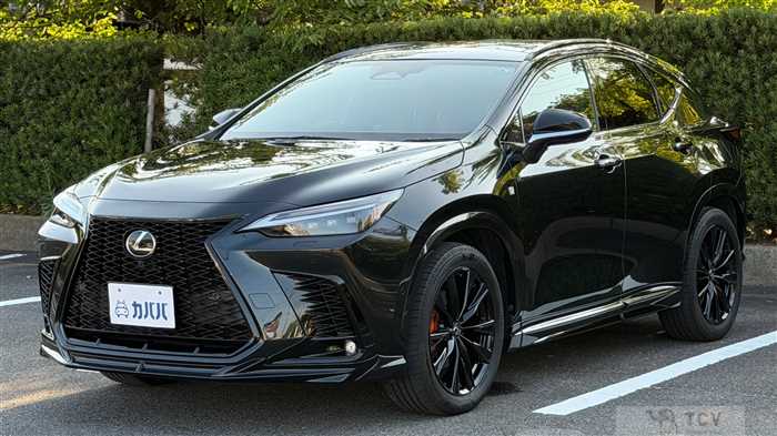 2025 Lexus NX