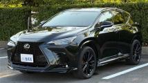 2025 Lexus NX