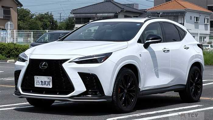 2022 Lexus NX