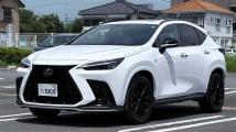 2022 Lexus NX