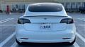 2021 Tesla Motors Others