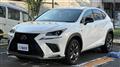 2018 Lexus NX