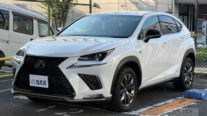 2018 Lexus NX